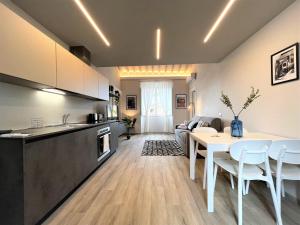 KAMI-central beautiful apartment over the roofs