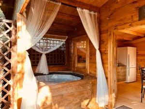 Chalet bois jacuzzi