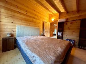 Chalet bois jacuzzi