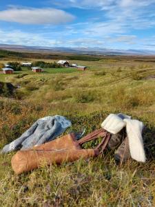Ásgeirsstaðir Holiday Homes