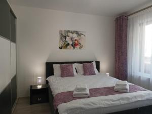 Apartament Eric, Busteni