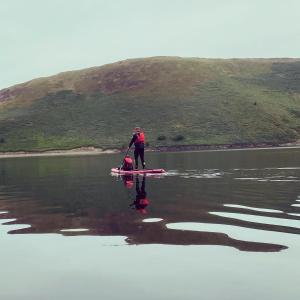 Geodesic Dome Glamping
