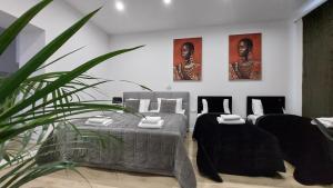 Apartamenty KB Toruń - parking za opłatą