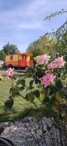 roulotte du domaine des Chevrettes - 库谢韦尔尼