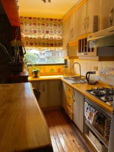 Centro de Temuco Depto único, rústico y a pasos de todo Incluye estacionamiento