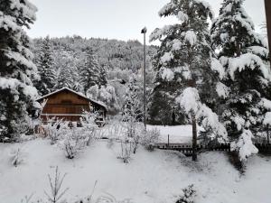 Chalets Chalet Nicouski : photos des chambres