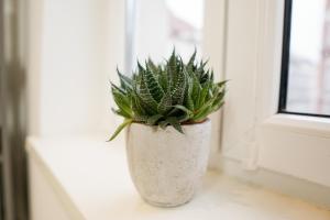 HOMY I Stilvolles Apartment Gohlis Netflix & W-LAN