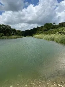 Slice of Paradise - Roscommon