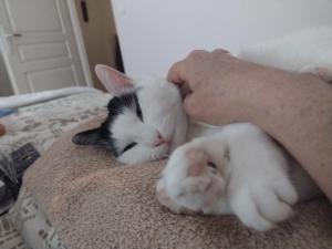 Sejours chez l'habitant Un Air de Vacances : photos des chambres