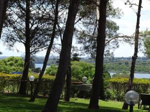 Sole del Mediterraneo