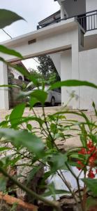 Family Time Holiday Home