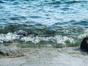 BeB Lomi Lomi Luxury Room e wellness Salento