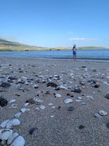 Escapada familiar playa, toboganes y diversión fuera de la ciudad