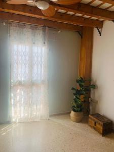 Piso coqueto céntrico en Jerez (San Miguel)