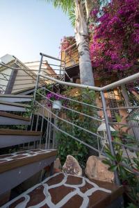 bougainvillea house 1