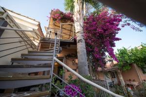 bougainvillea house 1