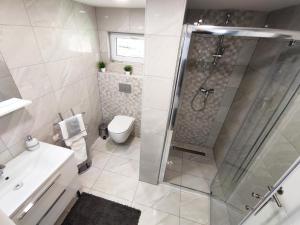 Luxury villa with a swimming pool Varazdin Breg, Zagorje - 20537