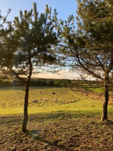 Silverspring Hideaways
