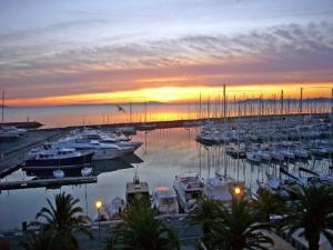 Appartement 1 Chambre Face aux Îles dOr avec Parking, Port dHyères - FR-1-335-182