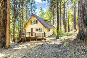 Jug Handle Hideaway - Dorrington