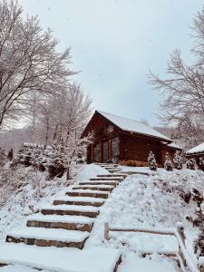 Cabana din Groapa Frumoasa