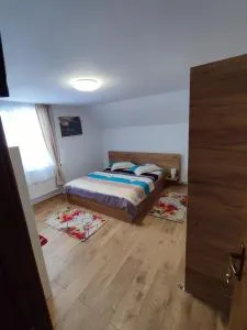 Casa Daiana - Toplița - Subcetate