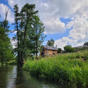 Domek JASZCZURKA, Roztocze, Lubelskie, Jacuzzi, Sauna