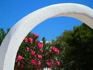 Pavlosx2 Folegandros Greece