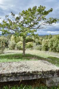 Maisons de vacances MAS COURADOU : photos des chambres