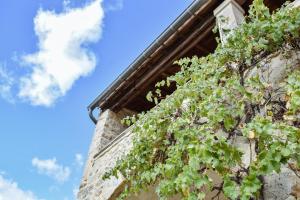 Maisons de vacances MAS COURADOU : photos des chambres