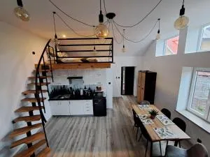 Apartament z antresolą - 米科泽沃