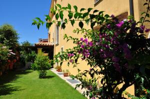 Hotel Il Girasole img10