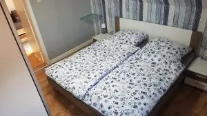 Seehund-Lilly - Voslapp