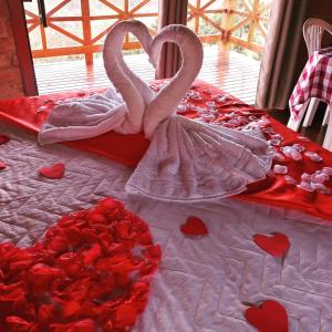 Terra De vereda nas montanhas de Gonçalves mg