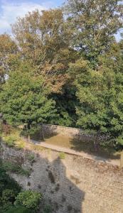 Appartements Le Soleil du Nord - Au Coeur des Remparts : photos des chambres
