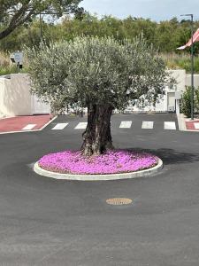 Au cœur du Golf, appartement neuf vue golf et piscine - Clim Wifi parking