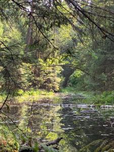 Pokoje Nadrzeczna