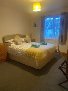 Cosy detached house in central location