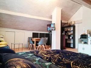 Vaste studio chaleureux - Dompierre-les-Tilleuls