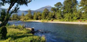 Cabañas P y R los canelos