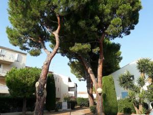 Appartements Entre mer et colline l'Escale Provencale . : photos des chambres