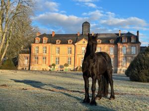 Maisons d'hotes Chateau de Lauresse - Chambres d'hotes de luxe : photos des chambres