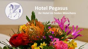 Double Room room in Hotel Pegasus