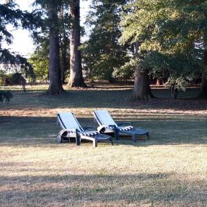 B&B / Chambres d'hotes L'EDEN proche du Zoo de Beauval de Saint Aignan : photos des chambres