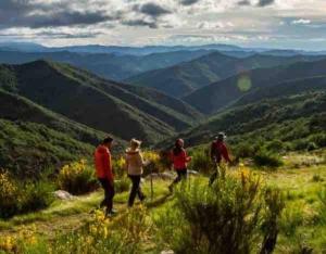 Appartements L'Oree Cevenole, gite avec SPA et vue panoramique sur les Cevennes : photos des chambres