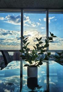 Departamento súper céntrico con vista al río Paraná