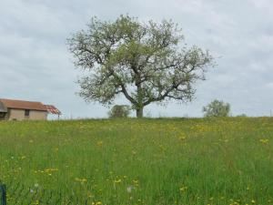 Maisons de vacances A Bois Mort : photos des chambres