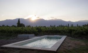 Casa Premium - Finca Rosablanca, viña y montaña