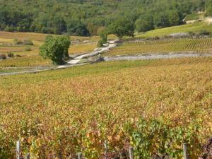 Maisons de vacances Les Grands Crus - Pommard : photos des chambres