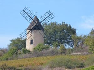 Maisons de vacances Les Grands Crus - Pommard : photos des chambres